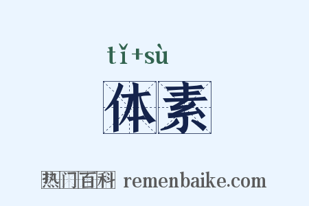 体素是什么意思的图片